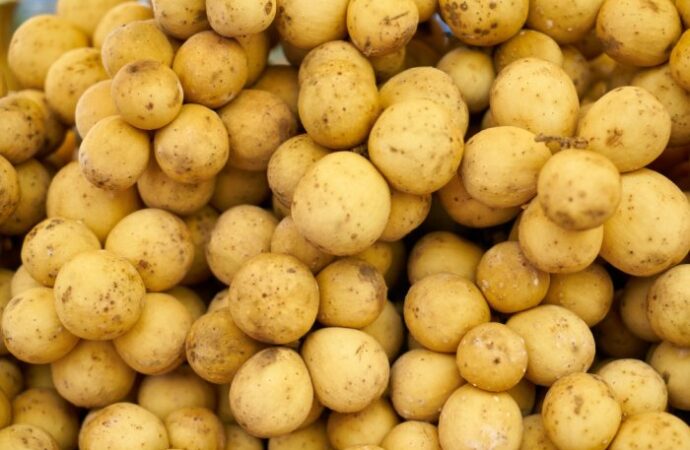Ziemniaki w diecie: dlaczego warto po nie sięgać